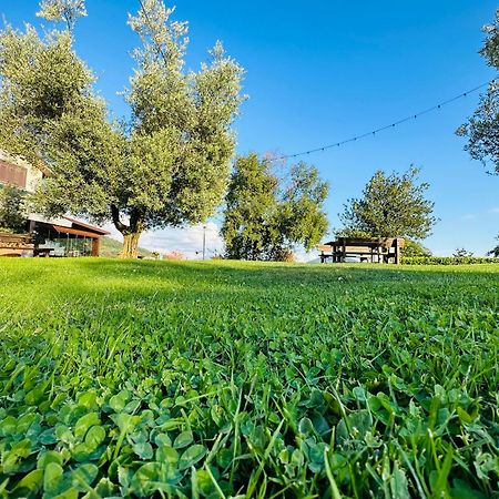 Da Gambin B&B Podenzana Buitenkant foto